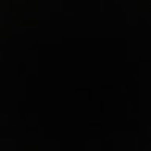 Meet your Posher, Monkey56dino